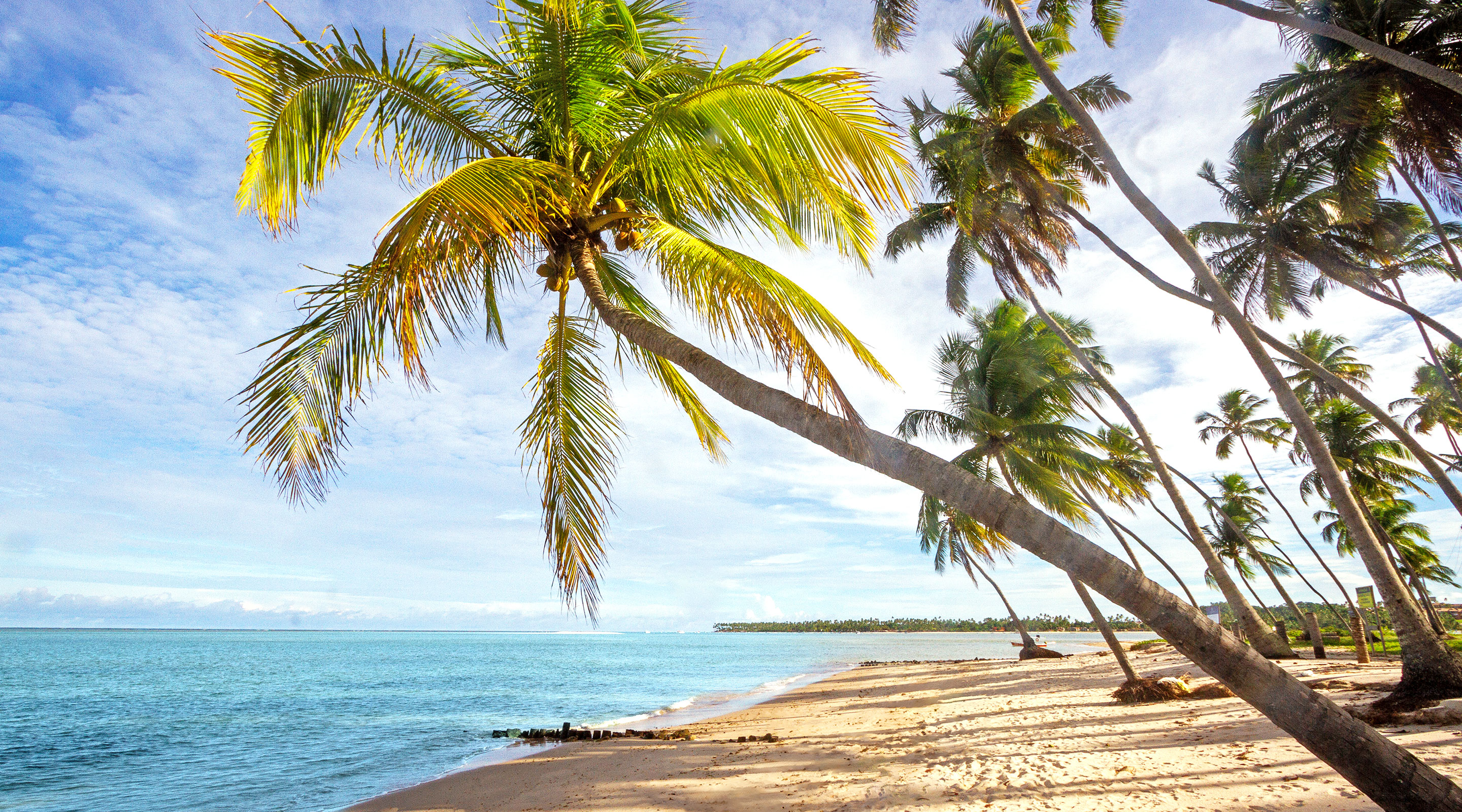 Praia de Guadalupe