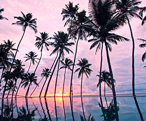 Praia de Guadalupe